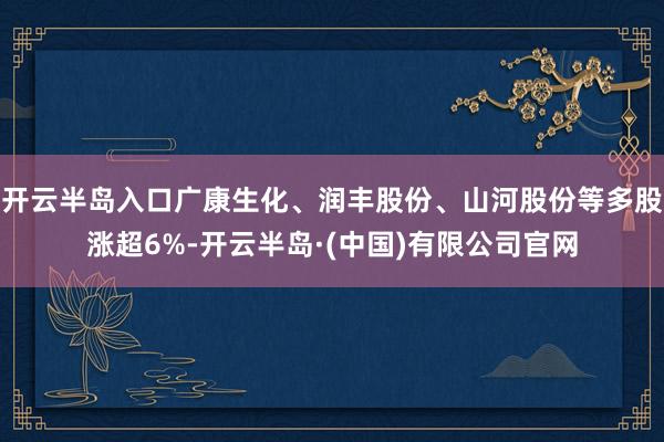 开云半岛入口广康生化、润丰股份、山河股份等多股涨超6%-开云半岛·(中国)有限公司官网
