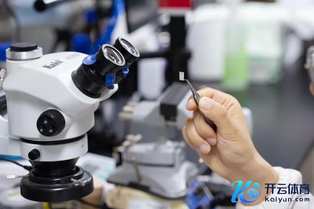 超视觉假体什物样品