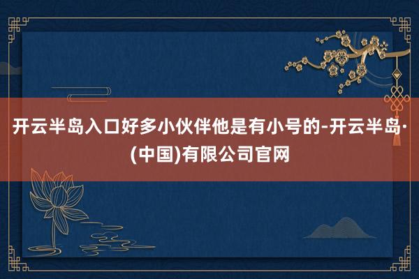 开云半岛入口好多小伙伴他是有小号的-开云半岛·(中国)有限公司官网