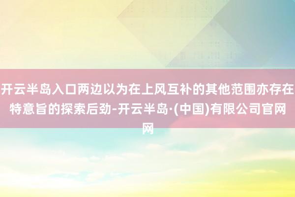 开云半岛入口两边以为在上风互补的其他范围亦存在特意旨的探索后劲-开云半岛·(中国)有限公司官网