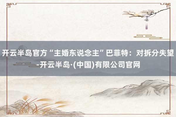 开云半岛官方“主婚东说念主”巴菲特：对拆分失望-开云半岛·(中国)有限公司官网