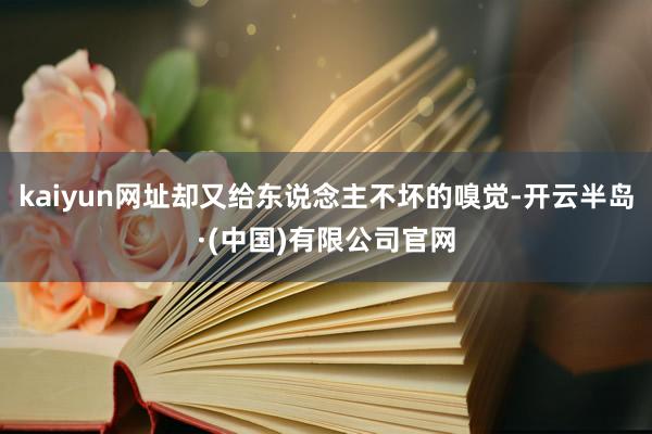 kaiyun网址却又给东说念主不坏的嗅觉-开云半岛·(中国)有限公司官网