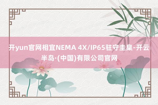开yun官网相宜NEMA 4X/IP65驻守圭臬-开云半岛·(中国)有限公司官网